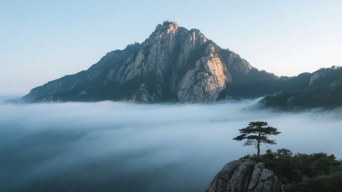 旅游